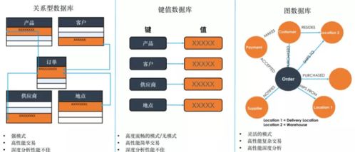 數字化轉型浪潮下，TigerGraph圖技術能否成為數字技術服務新寵兒？