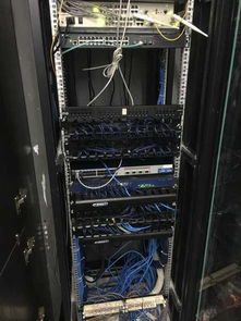 專業計算機技術，承接各類網絡工程項目
